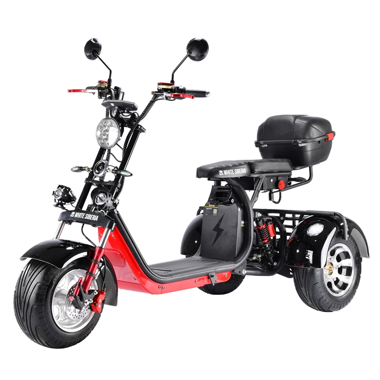 citycoco 2000w Rooder r804t8 three wheel electric scooter Russia Stock