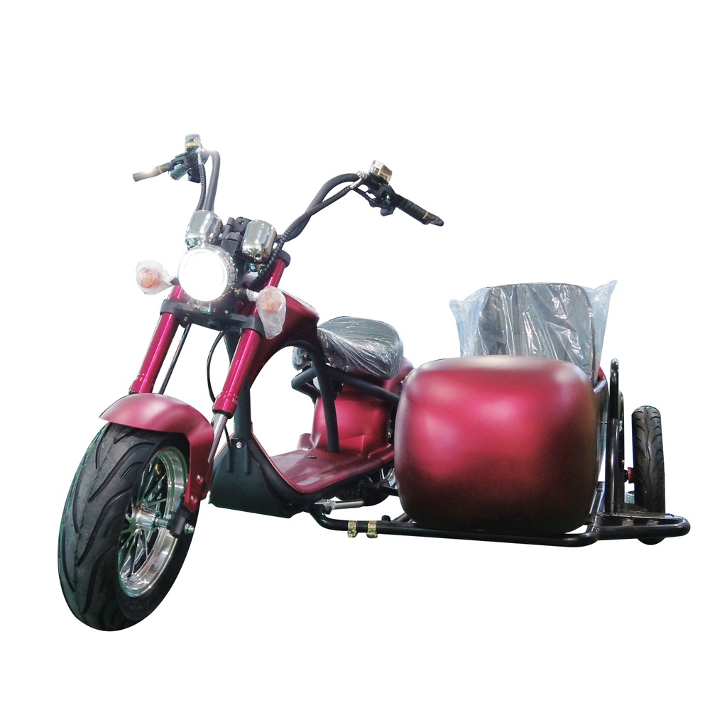 citycoco chopper Rooder 커스텀 3000w 28a with side car eec coc