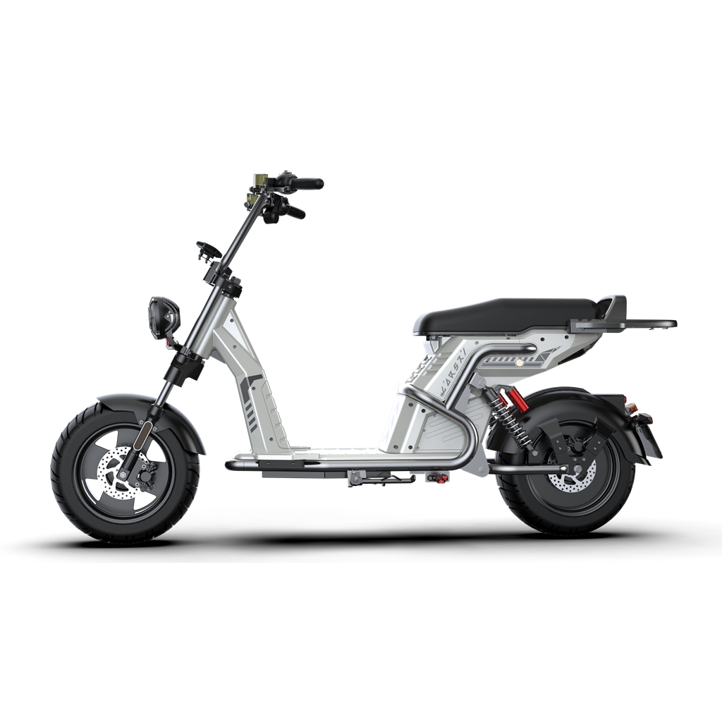 citycoco kıyıcı Rooder larsky scooter 4000w
