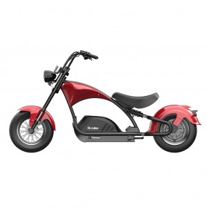 mangosteen m1ps Rooder SARA citycoco kıyıcı scooter 2022