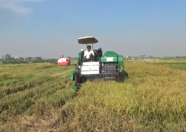 Hogyan lehet teljesen gépesíteni a rizstermesztést?(3. rész)