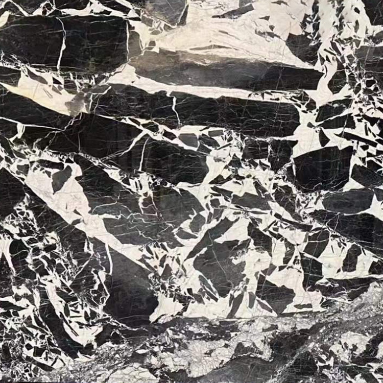 バスルーム インテリア装飾黒ローズ大理石と白の静脈