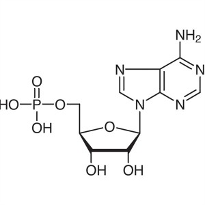 Adenosine 5′-Monophosphate (5′-AMP) CAS 61-19-8 High Purity