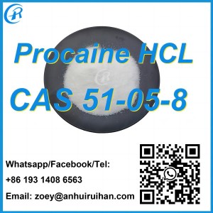 วัตถุดิบเคมีขายร้อน Procaine ไฮโดรคลอไรด์ CAS51-05-8 พร้อมจัดส่งที่รวดเร็ว