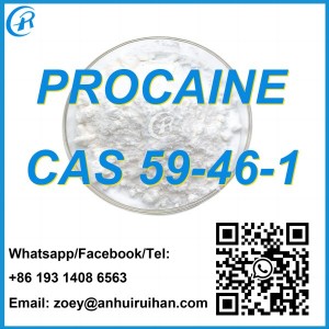 ตลาดสหรัฐอเมริกาและยุโรป 99.9% Pure Procaine / Procaina HCl Powder CAS 59-46-1