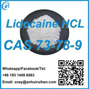 Fornecimento intermediário farmacêutico de fábrica de alta qualidade, cloridrato de lidocaína em pó branco, vendas quentes CAS73-78-9