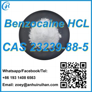 วัตถุดิบยาคุณภาพสูงราคาถูก Benzocaine Hydrochloride CAS 23239-88-5 80mesh / 200mesh