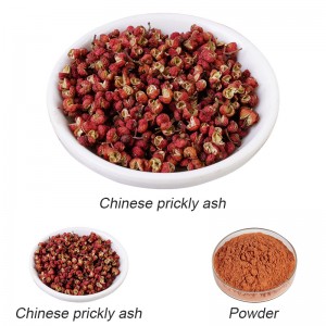 Shiinees Prickly Ash Jumlo Sichuan Peppercorn Basbas Shiinees ah oo Tayo Sare leh