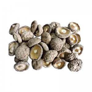 Hot Sales Air Dried Shiitake Mushroom Dehydrated Mushroom from China