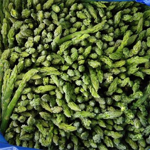 IQF zelene šparoge Smrznute kineske šparoge sječe New Crop