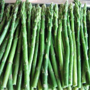 IQF Green Asparagus Mrożone Szparagi chińskie cięte Nowa uprawa
