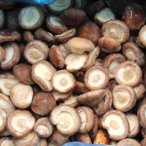 Funghi shiitake IQF fette di funghi shiitake congelati da Cina