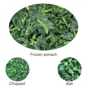 IQF Spinach Cut ขายส่งผักโขมแช่แข็งสับพร้อม BRC