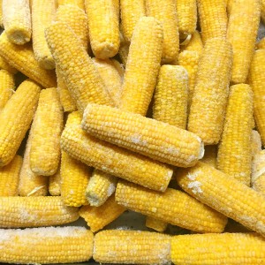 Granos de millo doce conxelados 100% naturais de alta calidade con desconto