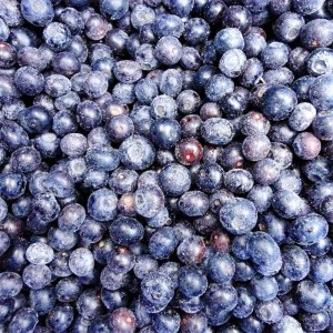Chinese IQF blueberry hot sale Frozen blueberry no additives