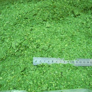 გაყინული ჩინური ოხრახუში IQF დაჭრილი ოხრახუში 100% სუფთა ნატურალური