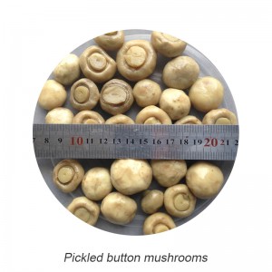 Technický list knoflíkových hub ve slaném nálevu