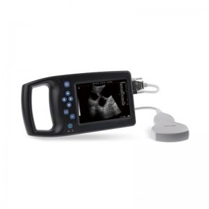 A6 पूर्ण डिजिटल स्वाइन/कैनाइन/फेलाइन/बकरी पशु चिकित्सा अल्ट्रासाउंड स्कैनर