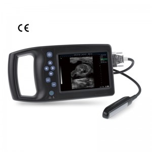Instrumento de diagnóstico ultrasónico dixital completo A8