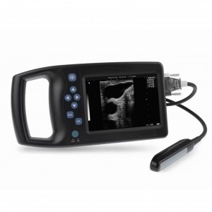 I-A8 yemfuyo epheleleyo yeDijithali / iVeterinary Ultrasound Scanner