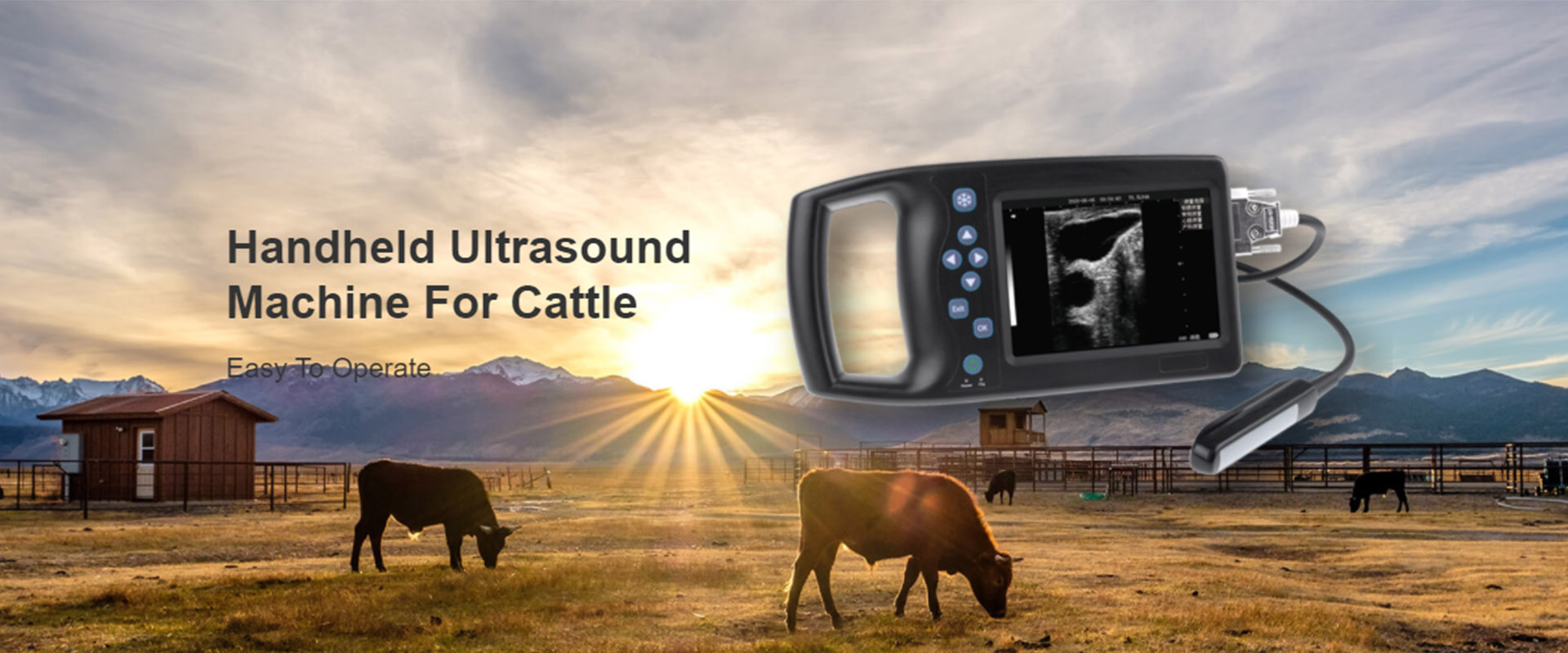 Scanner de ultrassom portátil para gado Ruisheng A8