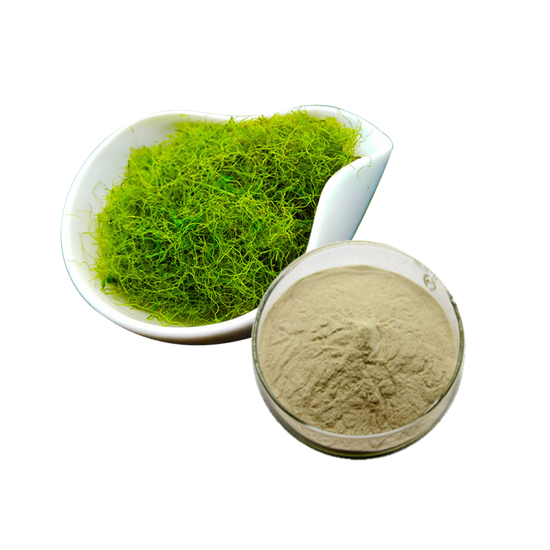 China OEM Hot Sale Factory Supply Directly Natural Gynostemma Extract