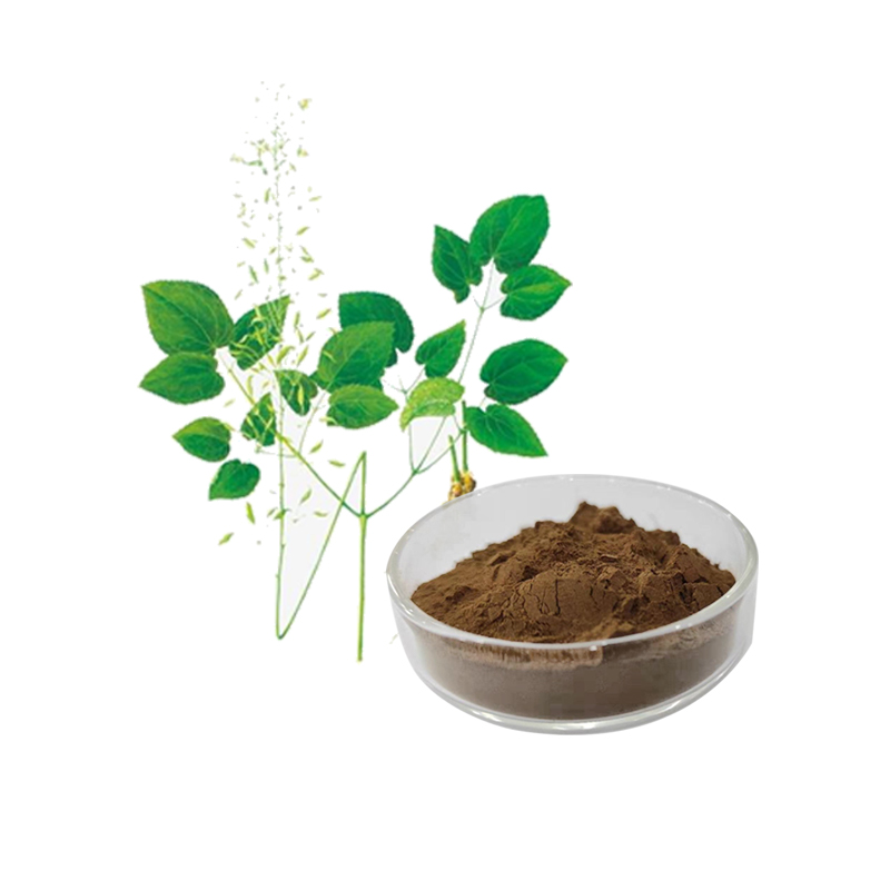 The Importance and Various Applications of Lcariin in Health and Wellness