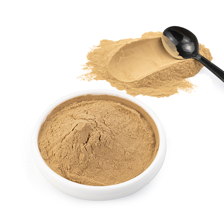 Discover potential health benefits of Maca Root: From improving fertility to boosting mood and skin health