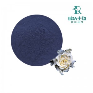 Gardenia mėlynas dažiklis