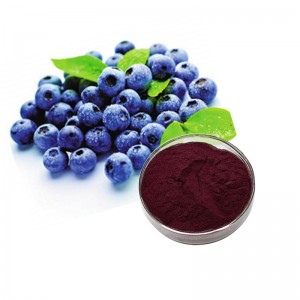 mveliso ixabiso eliphantsi China 25% Anthocyanin of Bilberry Extract