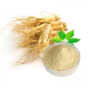 Panax Ginseng Leaf Extract
