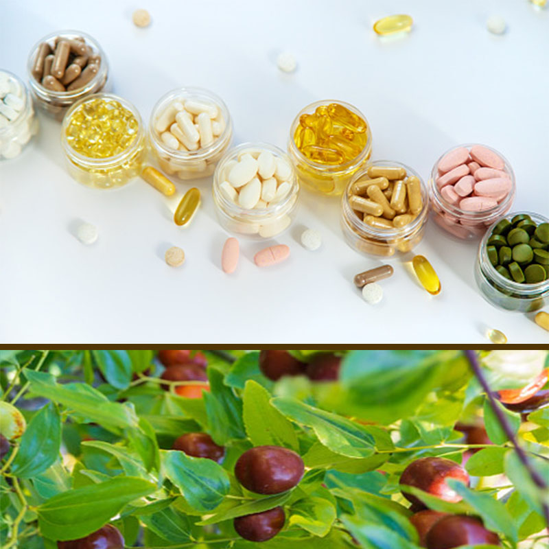 The Introduction of Wild Jujube Extract