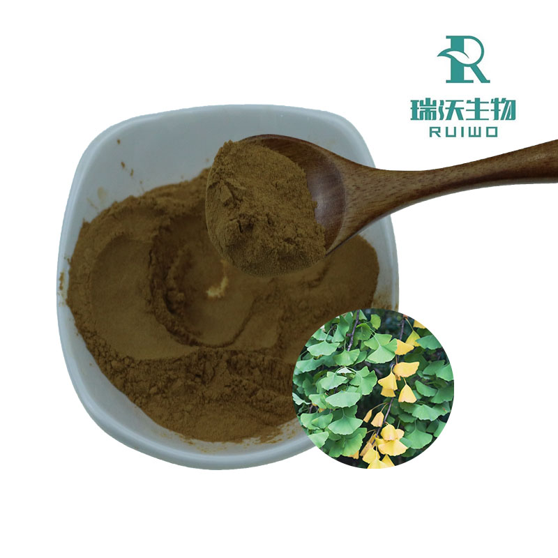 Benefits of Pure Ginkgo Biloba Extract: Introduction and Applications