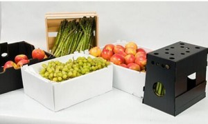 ប្រអប់ Asparagus Pp Corflute Plastic Box 11Lbs Corflute Correx Asparagus Plastic Box Packaging