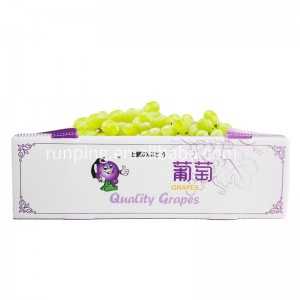 China Feme Ka ho toba Wholesale Stackable PP Plastic Hollow Corrugated Packaging Bakeng sa Grapes Box