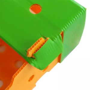 Caixa d'embalatge de plàstic ondulat impresa personalitzada per a caixa d'embalatge de fruites i verdures