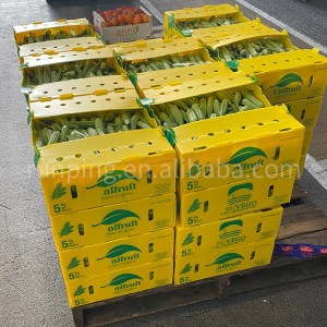 Изготовленная на заказ гофрированная пластиковая упаковочная коробка для упаковки фруктов и овощей