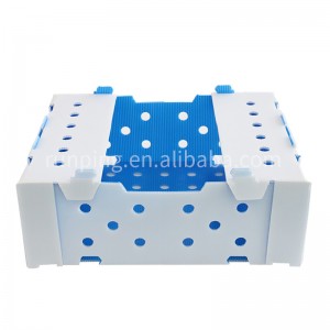 Polypropylene Hollow Plastic box for packaging Okra