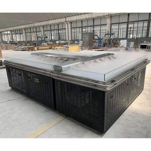 Stainless Steel Display Freezer For Sea Foods