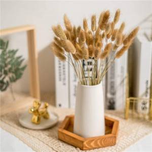 Dried Bunny Tails Plant Manufacturers for Party Office Home Decor