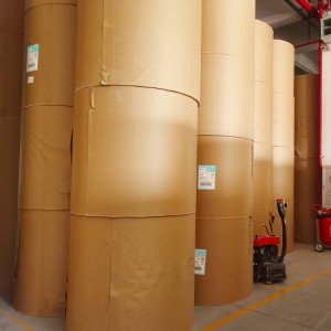 Rollo jumbo de papel térmico personalizado de 405 mm, 640 mm y 880 mm de ancho