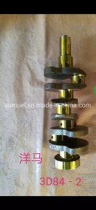 Engine Parts Crankshaft for Yanmar 3D84-2 with factory price