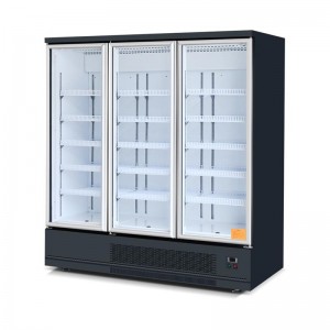 Refrigeratore con porta in vetro verticale tipo plug-in