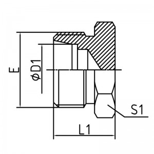 DIN Metric Male 24° Cone Plug |Fametrahana Hydraulic tsara