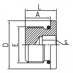 Tappo esagonale interno con guarnizione O-ring metrica maschio |Soluzione di raccordo a prova di perdite