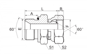 Sello cautivo macho BSP / Conector con junta tórica de 60° hembra BSP |Excelentes conexións hidráulicas