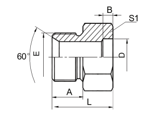 Asento macho de 60° BSP/Accesorios de tubo de soldadura por enchufe de polgadas |Conexións hidráulicas fiables
