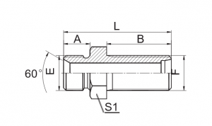 BSP vyriška 60° sėdynė / metrinė 24° HT pertvara |Patikima hidraulinė jungtis sandarioms sandarikliams