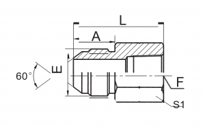 GAS meessoost 60° koonus / BSPT naisliitmikud |Kvaliteetne, roostevaba teras, DIN-standard
