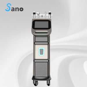 Factory made hot-sale Co2 Fractional Rf Laser - radio frequency Micro needle RF fractional rf machine – Sano